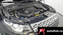 Миниатюра 6