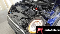 Миниатюра 6