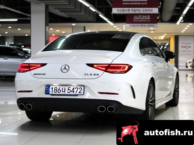 Mercedes-Benz CLS-Class CLS-Class C257 2020 года - вид 6