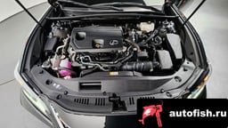 Миниатюра 6