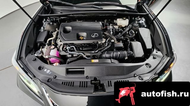 Lexus ES ES300h 7th generation 2023 года - вид 6