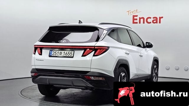 Hyundai Tucson Tucson (NX4) 2023 года - вид 2