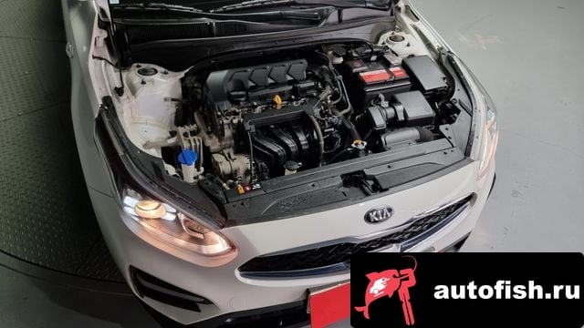 Kia K3 Come New K3 2020 года - вид 6