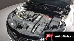 Миниатюра 6