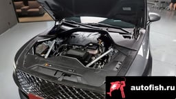 Миниатюра 6