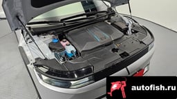 Миниатюра 6