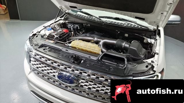 Ford Expedition Expeditation 2021 года - вид 6