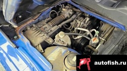 Миниатюра 6