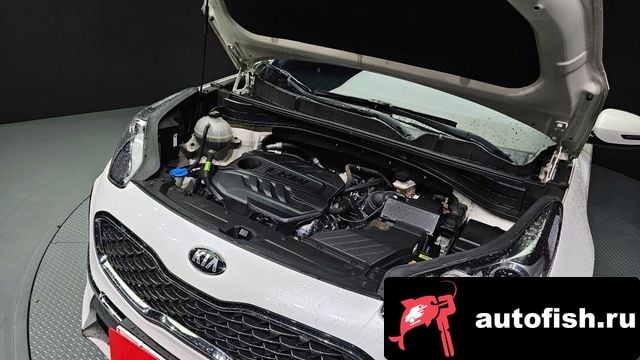 Kia Sportage Sportage The Bold 2020 года - вид 6