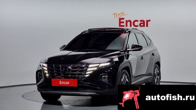 Hyundai Tucson Tucson (NX4) 2023 года - вид 1