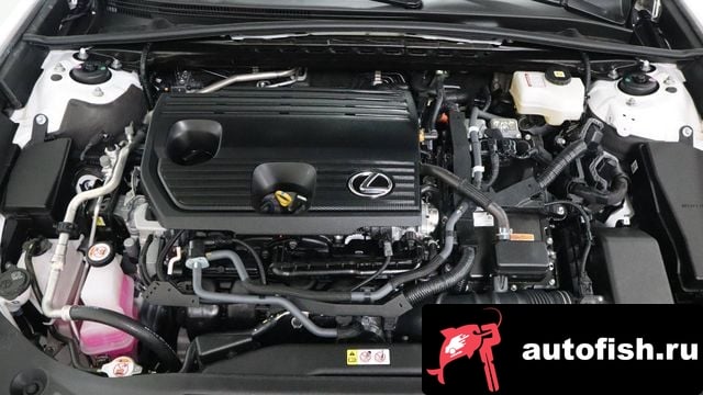 Lexus ES ES300h 7th generation 2024 года - вид 6