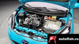 Миниатюра 6