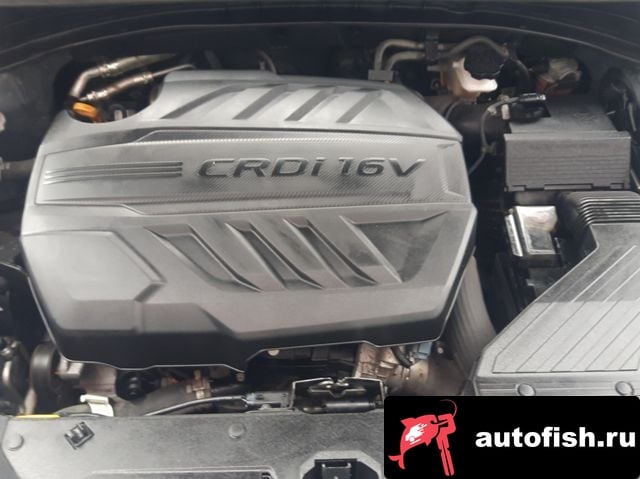 Kia Sportage Sportage The Bold 2019 года - вид 6