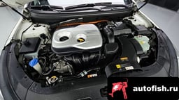 Миниатюра 6