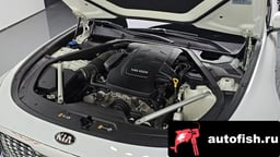 Миниатюра 6