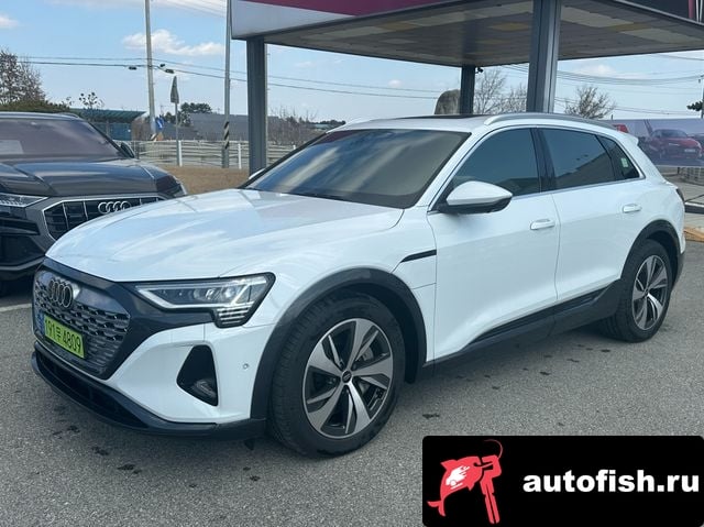 Audi Q8 e-tron Q8 e-Tron (GE) 2024 года - вид 1