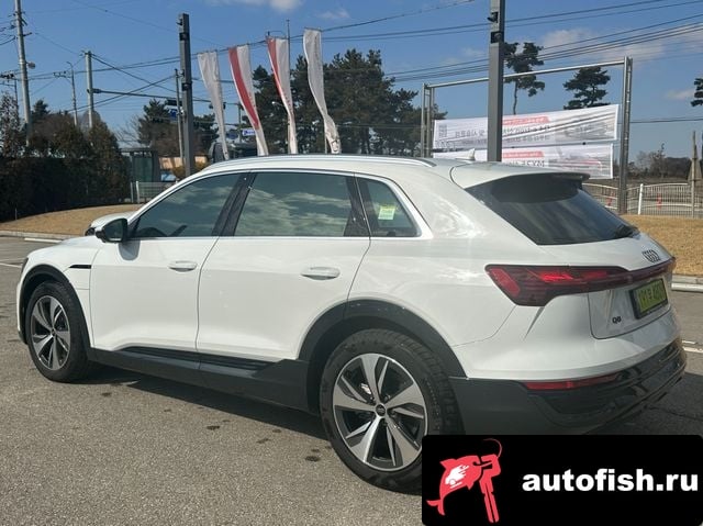 Audi Q8 e-tron Q8 e-Tron (GE) 2024 года - вид 2
