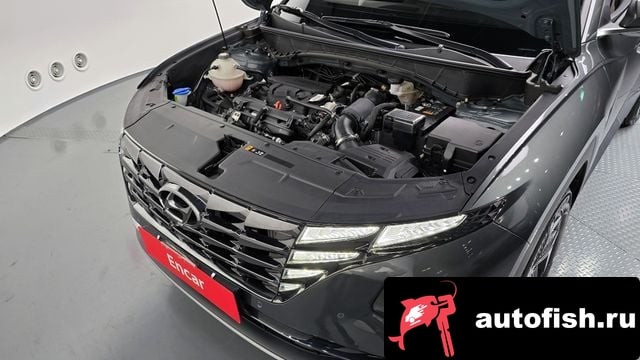 Hyundai Tucson Tucson (NX4) 2023 года - вид 6