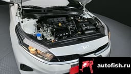 Миниатюра 6