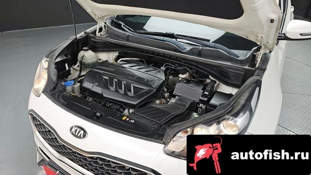 Kia Sportage Sportage The Bold 2018 года - вид 6