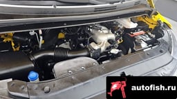 Миниатюра 6