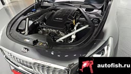 Миниатюра 6