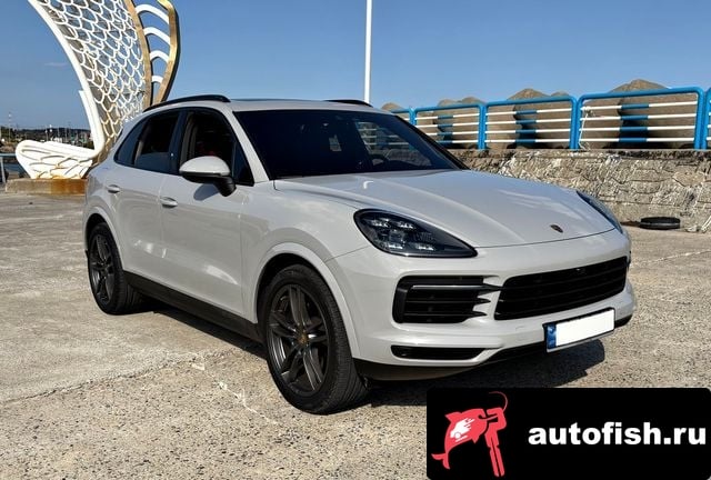 Porsche Cayenne Cayenne (PO536) 2019 года - вид 4