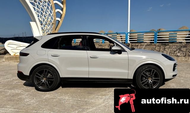 Porsche Cayenne Cayenne (PO536) 2019 года - вид 5