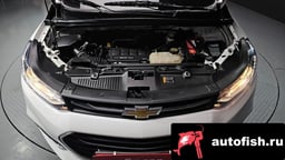 Миниатюра 6