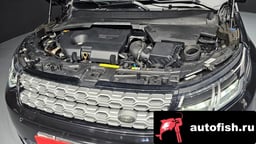 Миниатюра 6