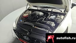 Миниатюра 6