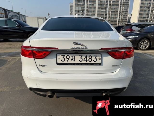 Jaguar XF XF (X260) 2018 года - вид 4