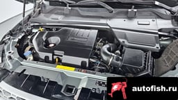 Миниатюра 6