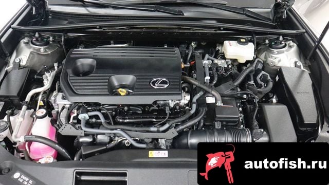 Lexus ES ES300h 7th generation 2024 года - вид 6