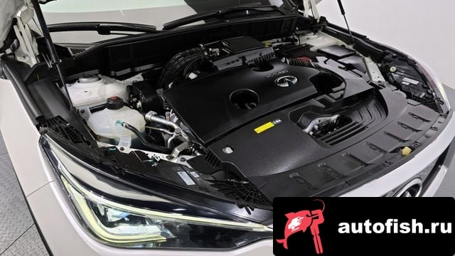 Infiniti QX50 QX50 (P71A) 2019 года - вид 6