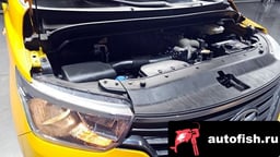 Миниатюра 6