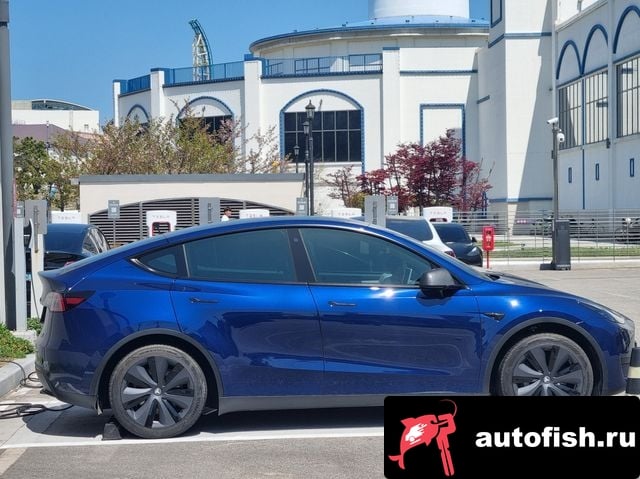 Tesla Model Y Model Y 2023 года - похожие автомобили