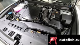 Миниатюра 6