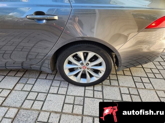 Jaguar XF XF (X260) 2019 года - вид 2