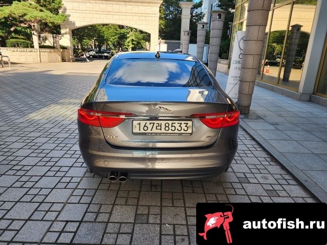 Jaguar XF XF (X260) 2019 года - вид 4