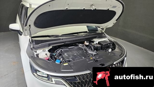 Kia Carnival Carnival 4th generation 2022 года - вид 6