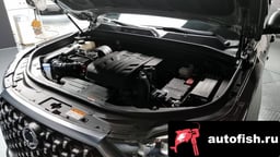 Миниатюра 6