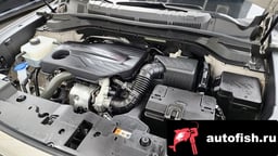 Миниатюра 6