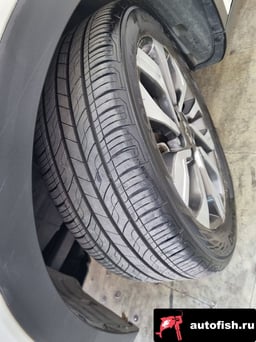 Миниатюра 6