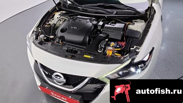 Nissan Maxima Maxima (A36) 2018 года - вид 6