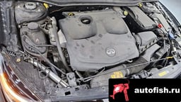 Миниатюра 6