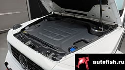 Миниатюра 6