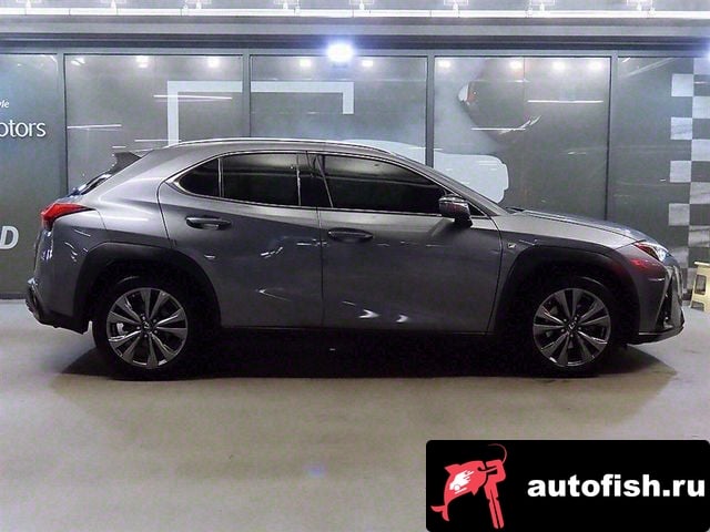 Lexus UX UX250h 2020 года - вид 2