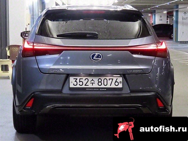 Lexus UX UX250h 2020 года - вид 4