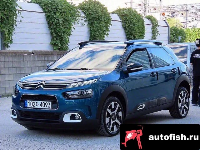 Citroen-DS C4 CACTUS C4 Cactus 2019 года - вид 2